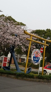 Ȃ獲