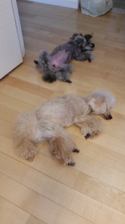 ꏊ