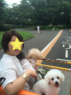 ll莩]Ԃ̂Q