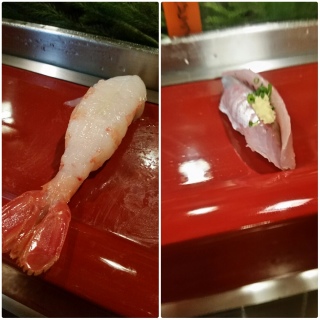 VN