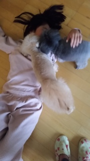 ͂悤