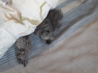 ͂悤