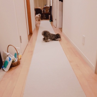 イ
